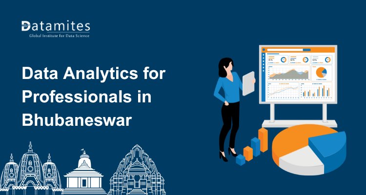 Data Analytics Training for professionals in Bhubaneswar