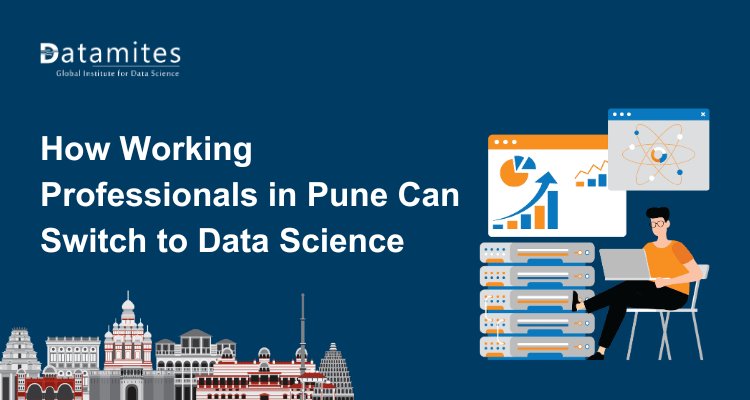 How Working Professionals in Pune Can Switch to Data Science