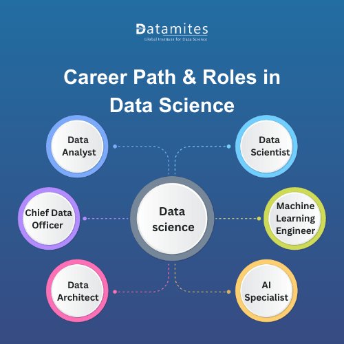 Career Path & Roles in Data Science