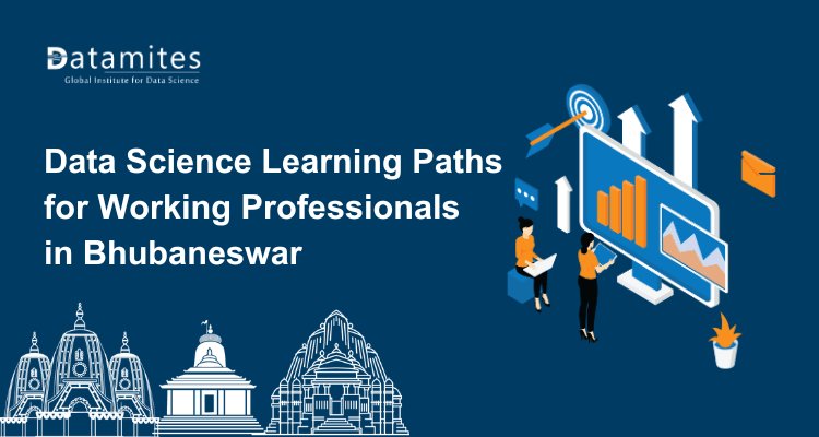 The Best Data Science Learning Paths for Working Professionals in Bhubaneswar