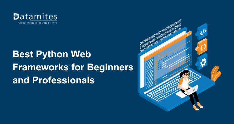 Best Python Web Frameworks for Beginners and Professionals in 2026