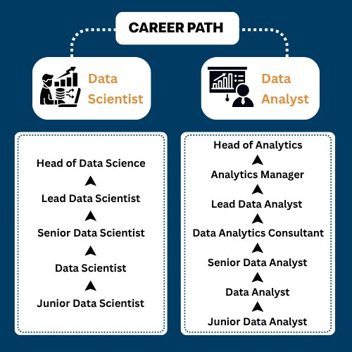 Data Analyst and Data Scientist Career Paths in South Africa