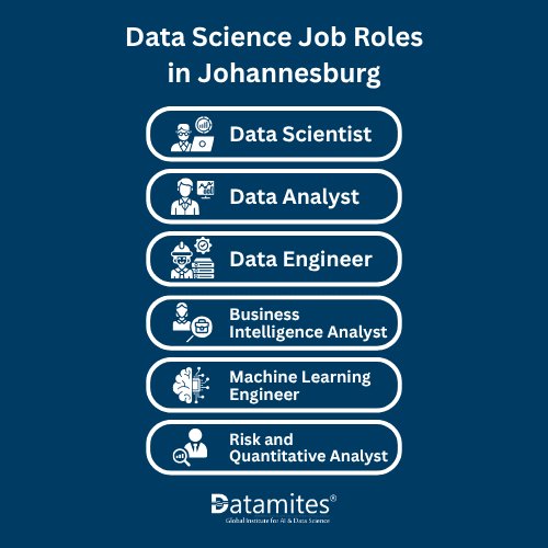 Data Science Job Roles in Johannesburg