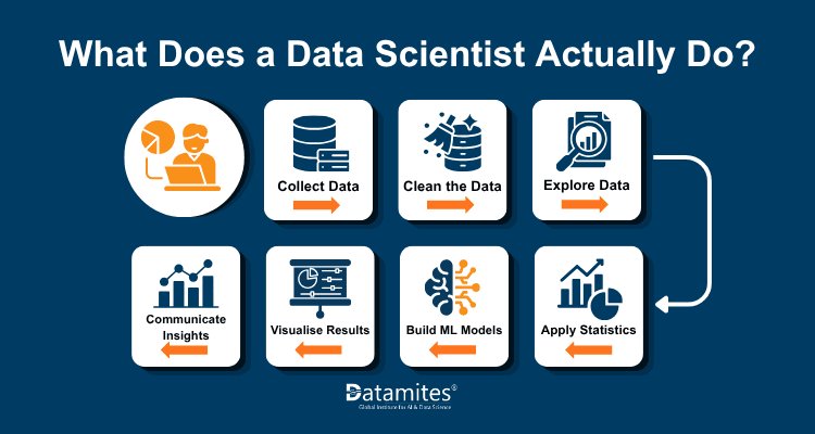 What Does a Data Scientist Actually Do