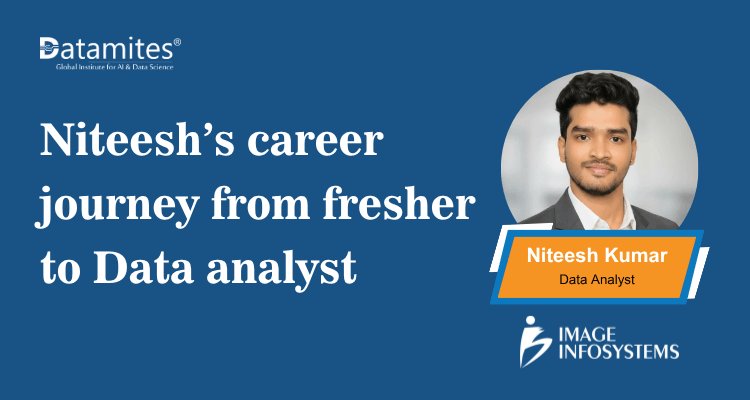 From Graduate to Data Analyst: Niteesh’s Career Journey