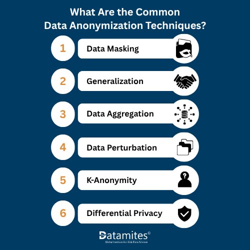 What Are the Common Data Anonymization Techniques