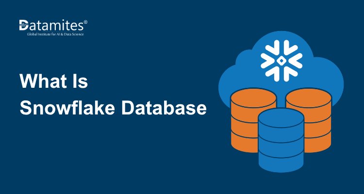 What Is a Snowflake Database and How Does It Work for Data Analytics?