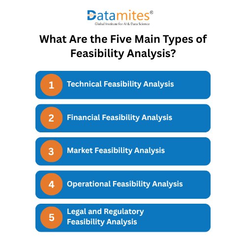 What Are the Five Main Types of Feasibility Analysis?